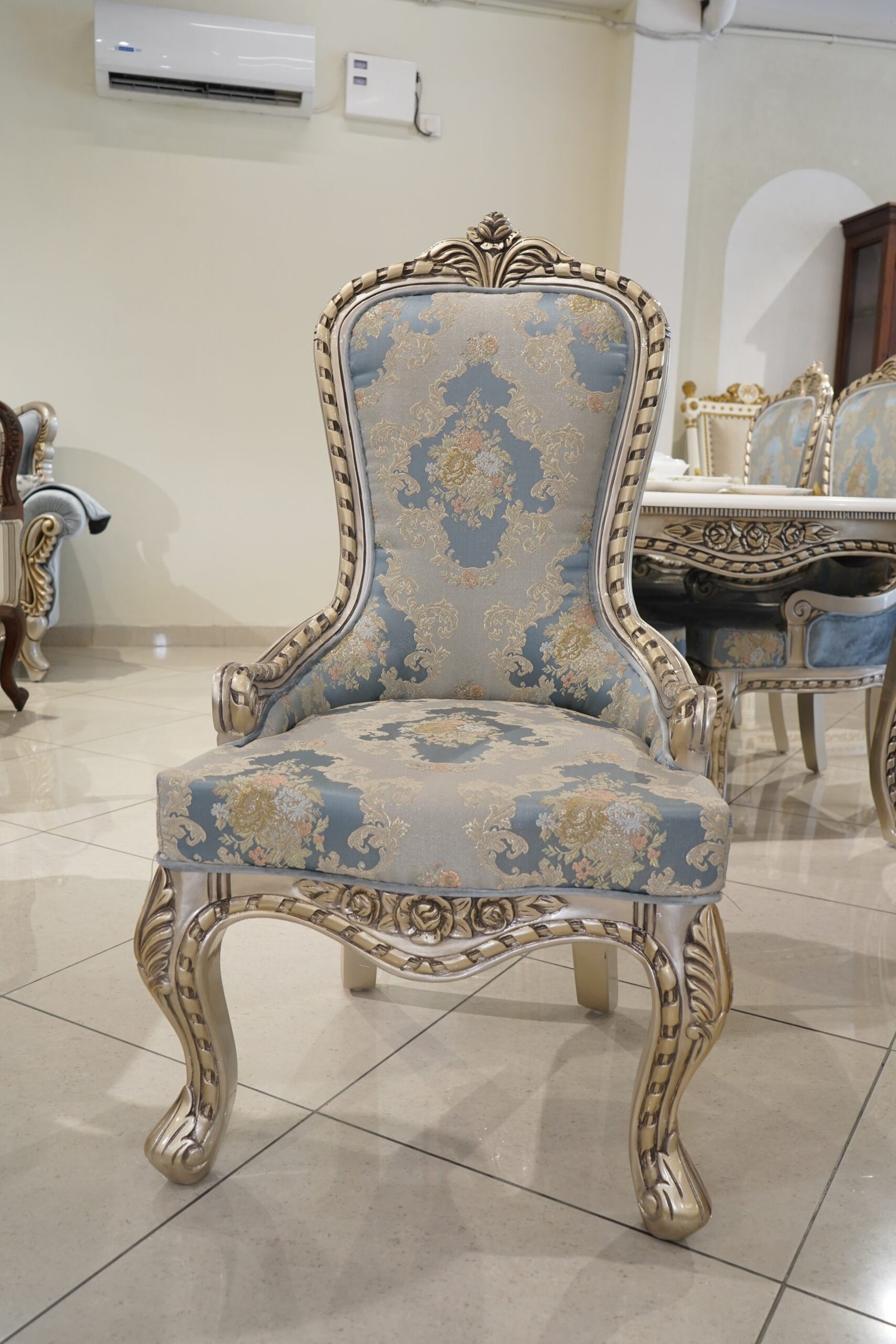 Premium Dining Chair (TM-DND-001) - Image 4