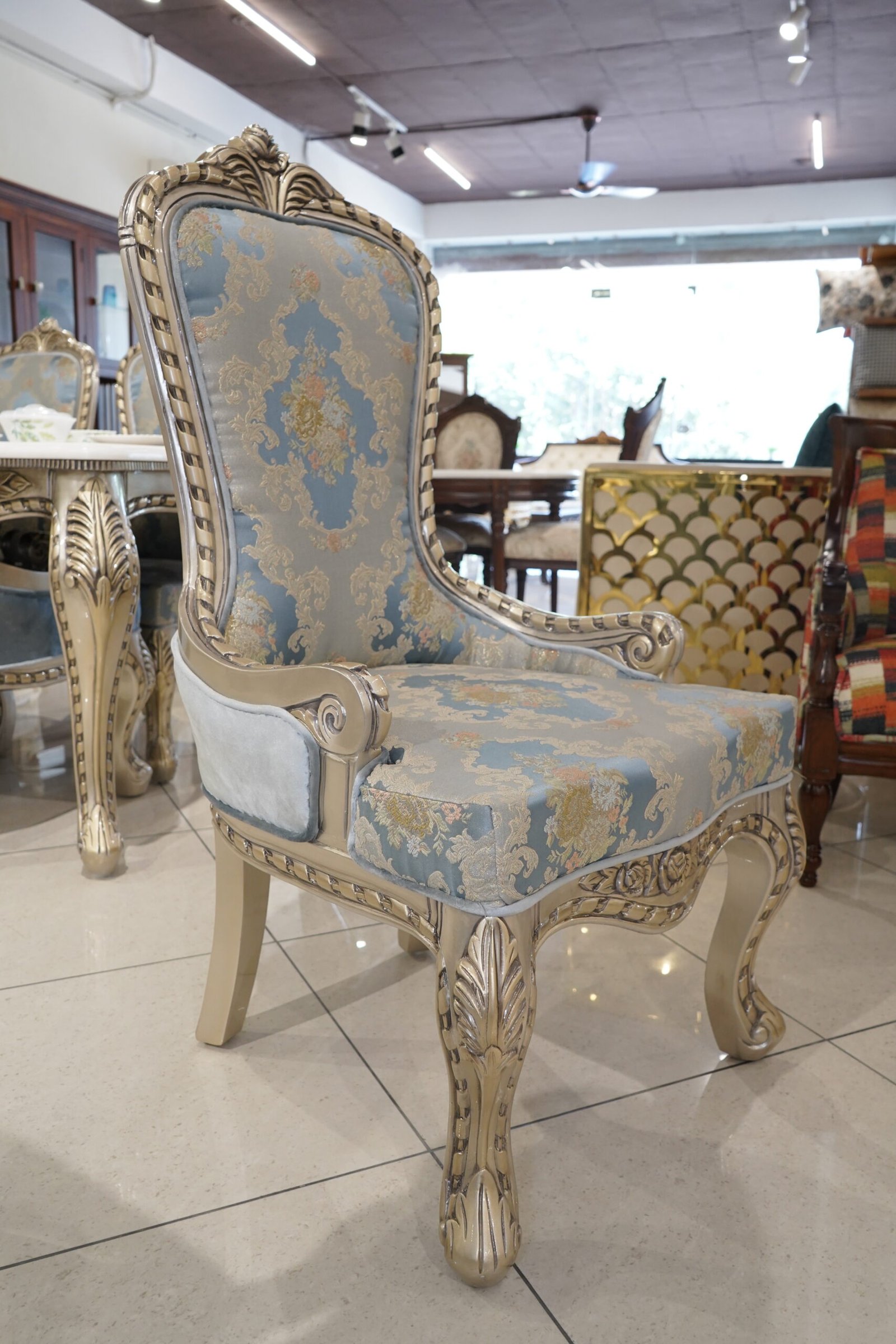 Premium Dining Chair (TM-DND-001) - Image 3