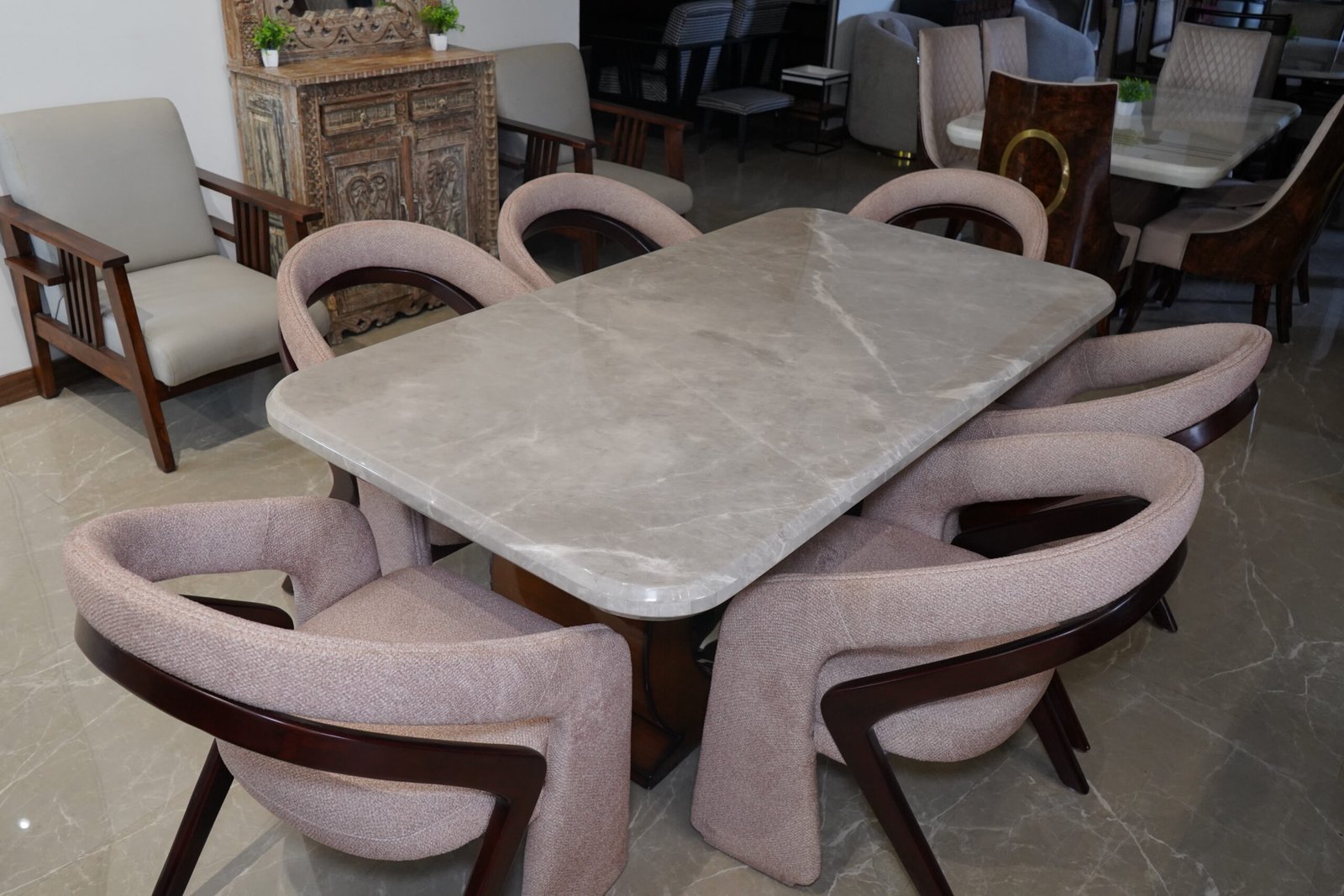 Premium Dining Chair (TM-DND-004) - Image 6