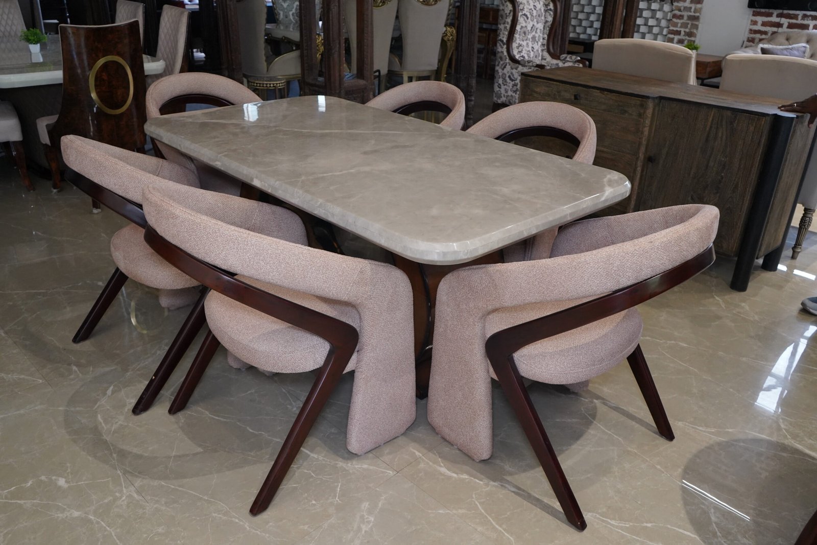 Premium Dining Chair (TM-DND-004)