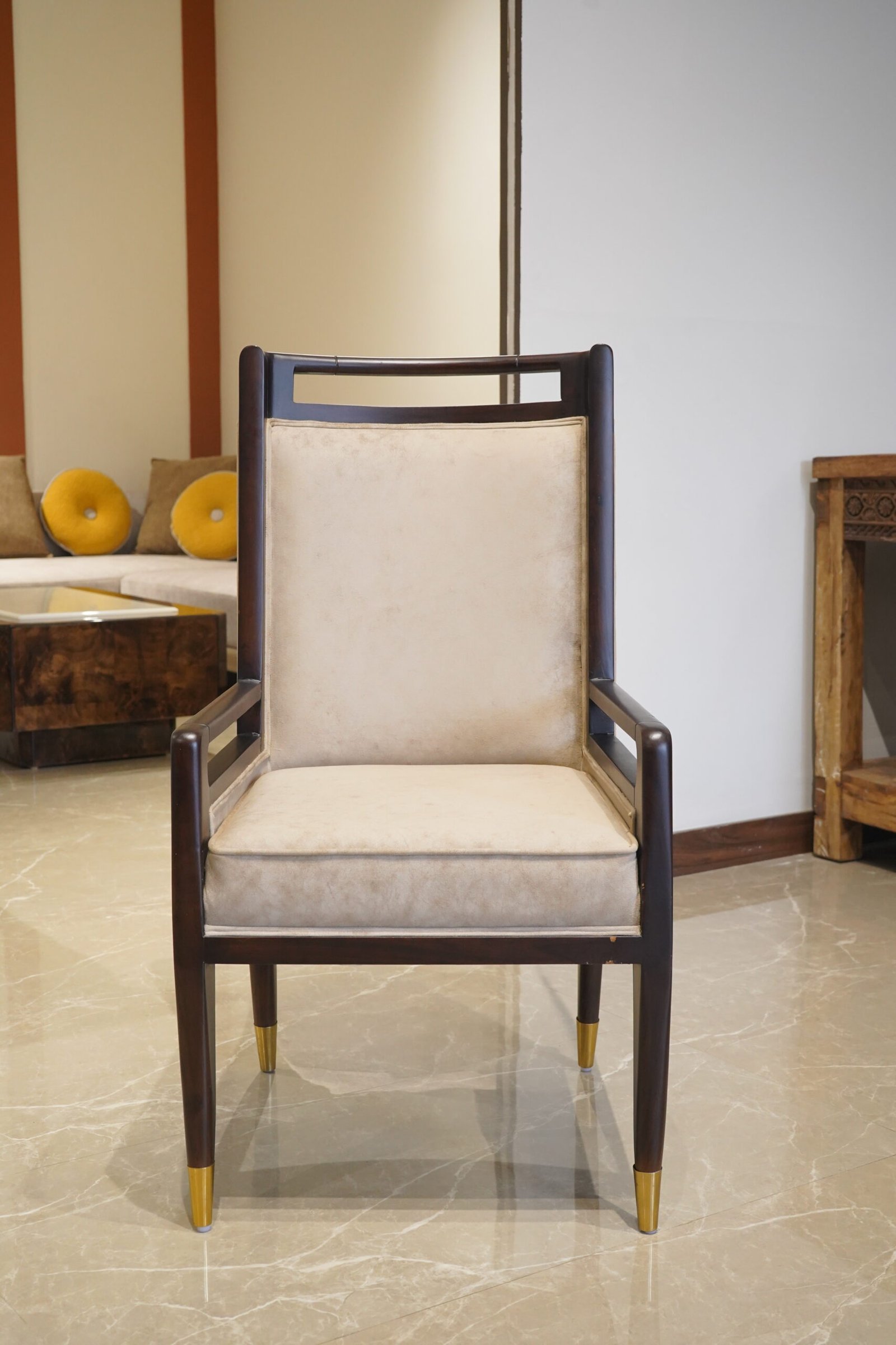 Premium Dining Chair (TM-DND-003) - Image 3
